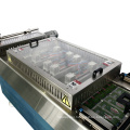DLZ-420 Fish Vacuum Packing Machine Packaging/sealing machine automatic